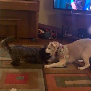 Meet your Posher, Mindy